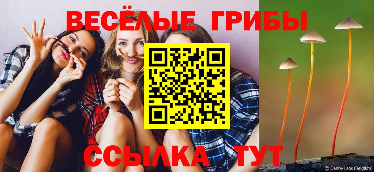 Новочебоксарск  Псилоцибиновые грибы Psilocybe  Вход с VPN  Псилоцибиновые грибы Cubensis 