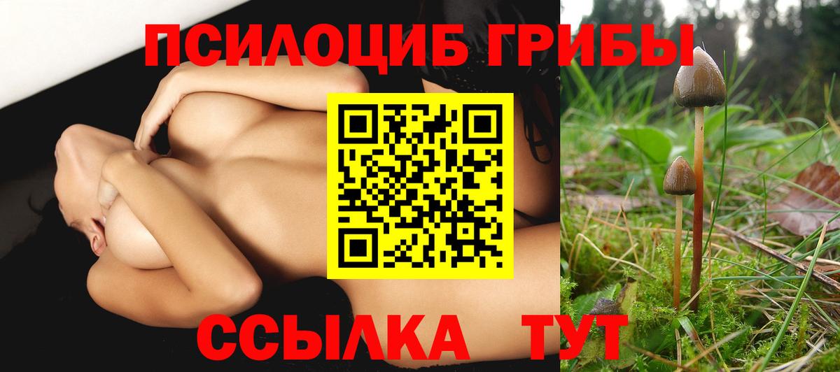 Псилоцибиновые грибы мухоморы Новочебоксарск