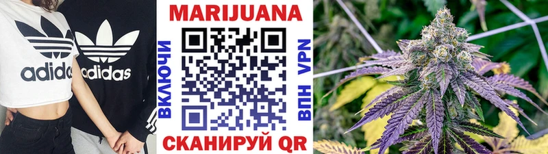 гидра как войти  Новочебоксарск  Каннабис сатива  закладки 